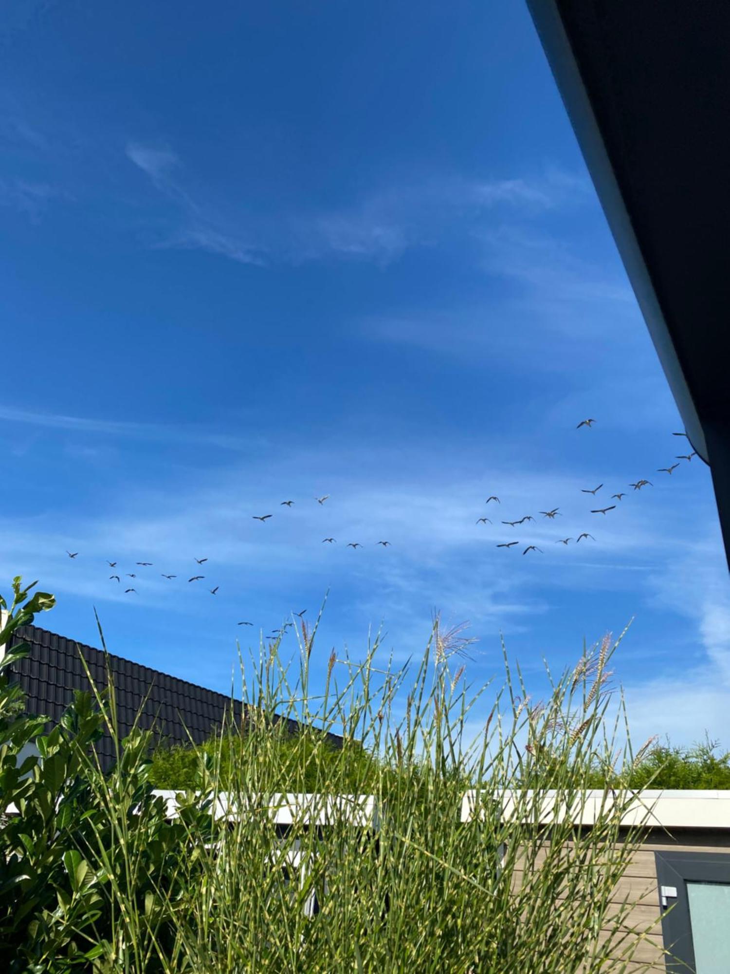 Luxus Cube Ferienhaus Chalet Am See Mit Schwimmbad In Lathum Nl Εξωτερικό φωτογραφία
